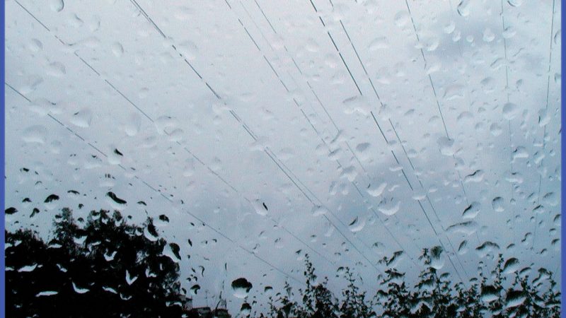 Lluvias débiles y niebla se pronostican este domingo 12 de junio en Magallanes