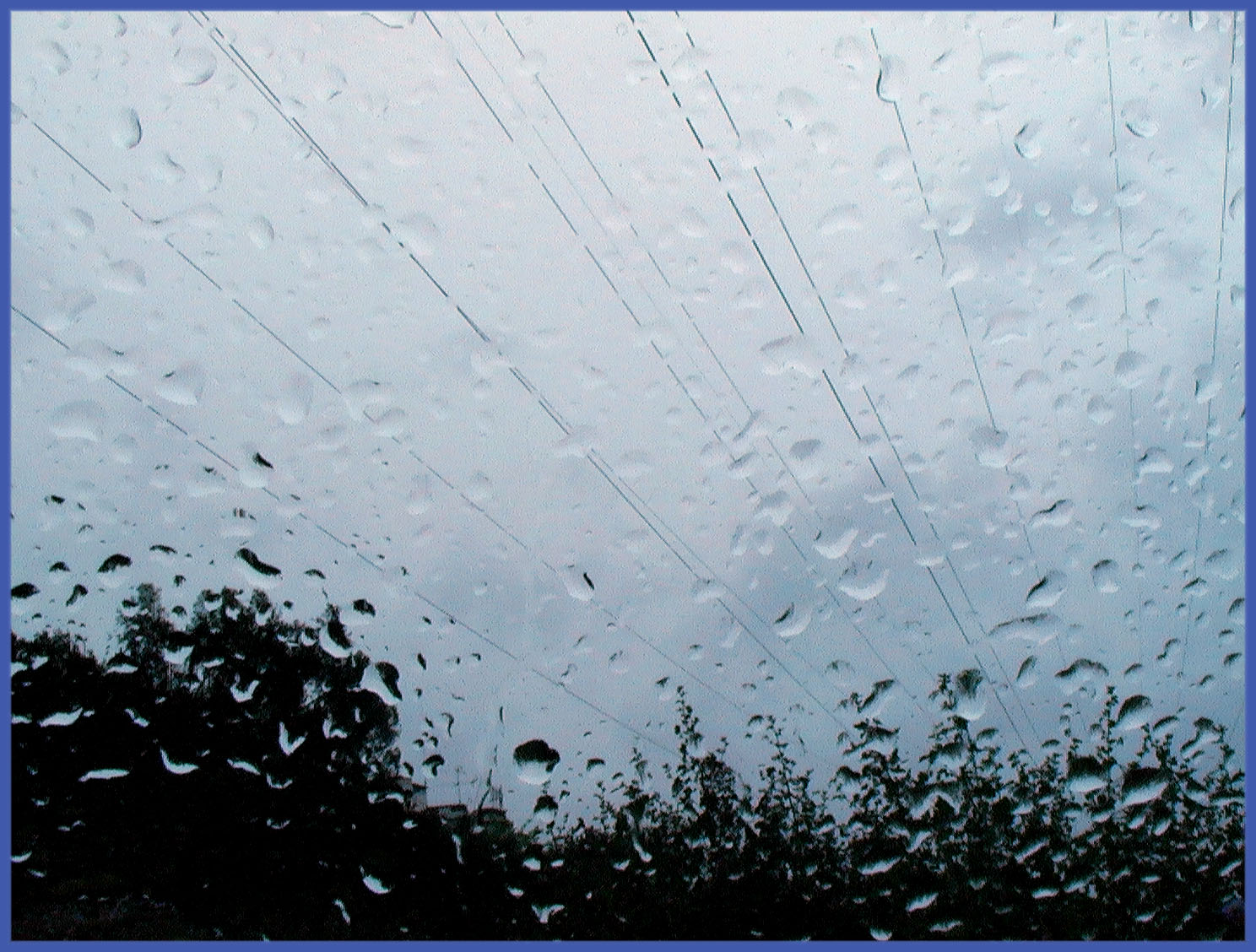 Lluvias débiles y niebla se pronostican este domingo 12 de junio en Magallanes