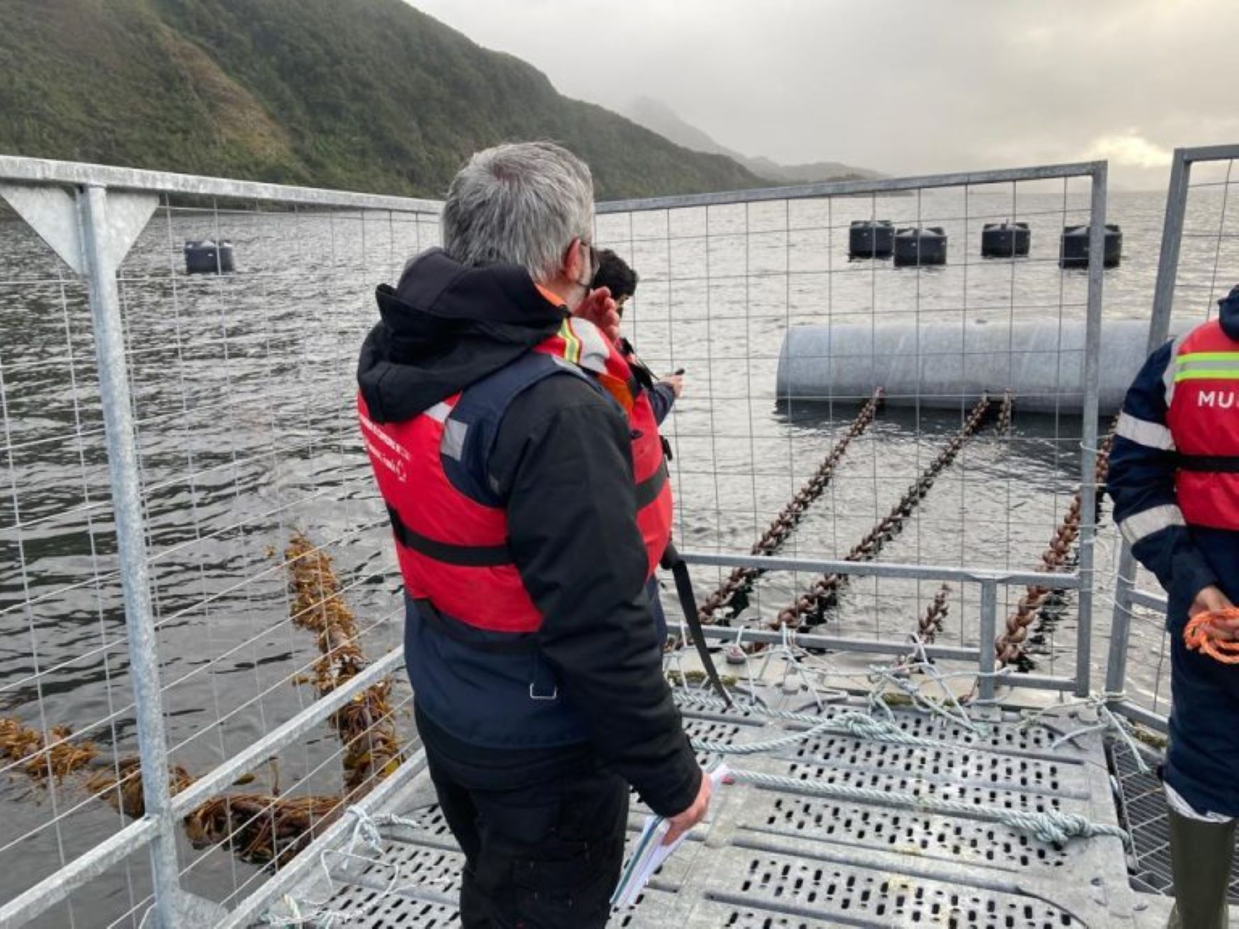 Superintendencia del Medio Ambiente de Magallanes inicia proceso sancionatorio contra empresa salmonera Cermaq por sobreproducción | Centro de engorda se encuentra en la Reserva Nacional Kawésqar