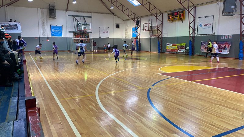 Rama de fútbol de CD Español de Punta Arenas vuelve a la actividad con campeonato de escuelitas