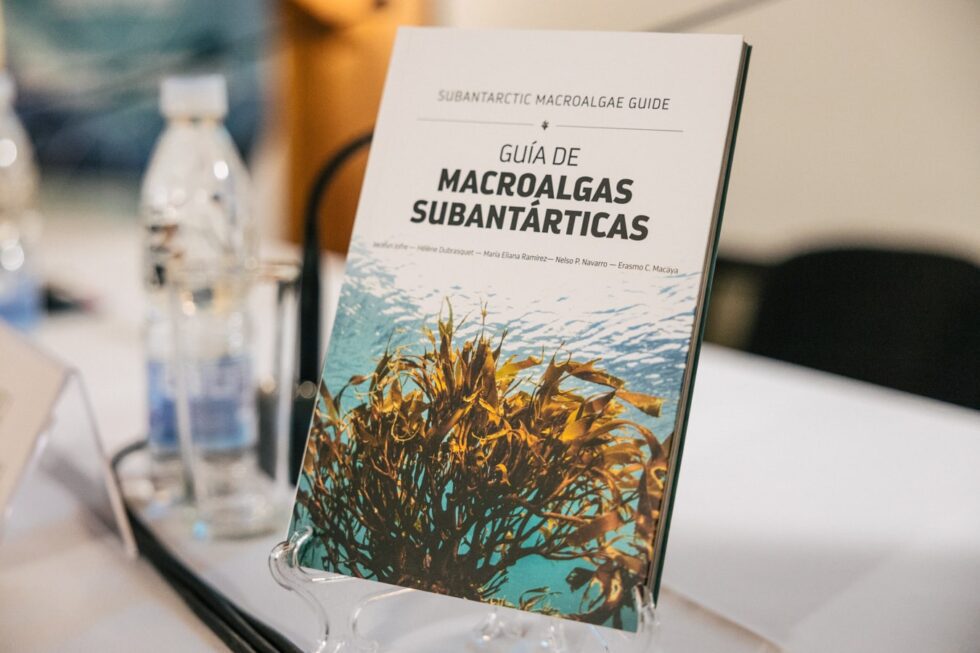 Presentan libro gratuito “Guía de macroalgas subantárticas” en Punta Arenas