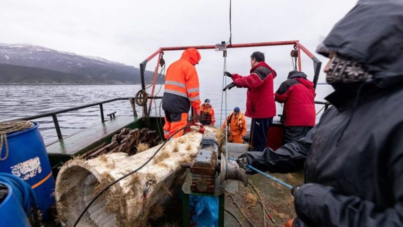 Investigadores del Centro IDEAL rescatan anclaje sumergido en el Canal Beagle