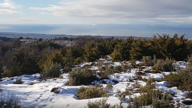 Neblina y escarcha se pronostican hoy miércoles 1 de junio en Magallanes