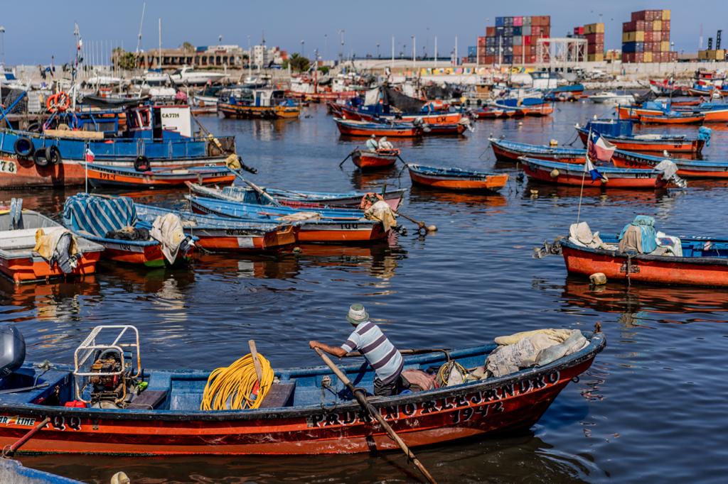 Comisión Nacional de Seguridad y Soberanía Alimentaria | Dirigentes de la pesca artesanal molestos con Ministros del gobierno del Presidente Boric por ser excluidos