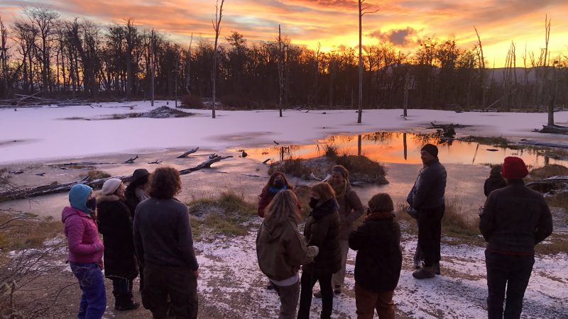 En Ushuaia se realizó encuentro internacional Chile-Argentina sobre gestión del Castor en la Patagonia