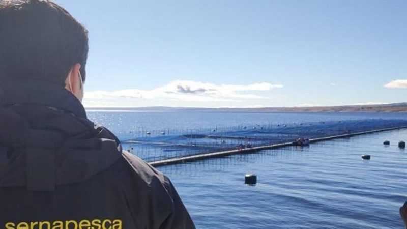 SERNAPESCA entrega información sobre denuncias por incumplimientos en acuicultura en Magallanes cursadas en el primer semestre de 2022