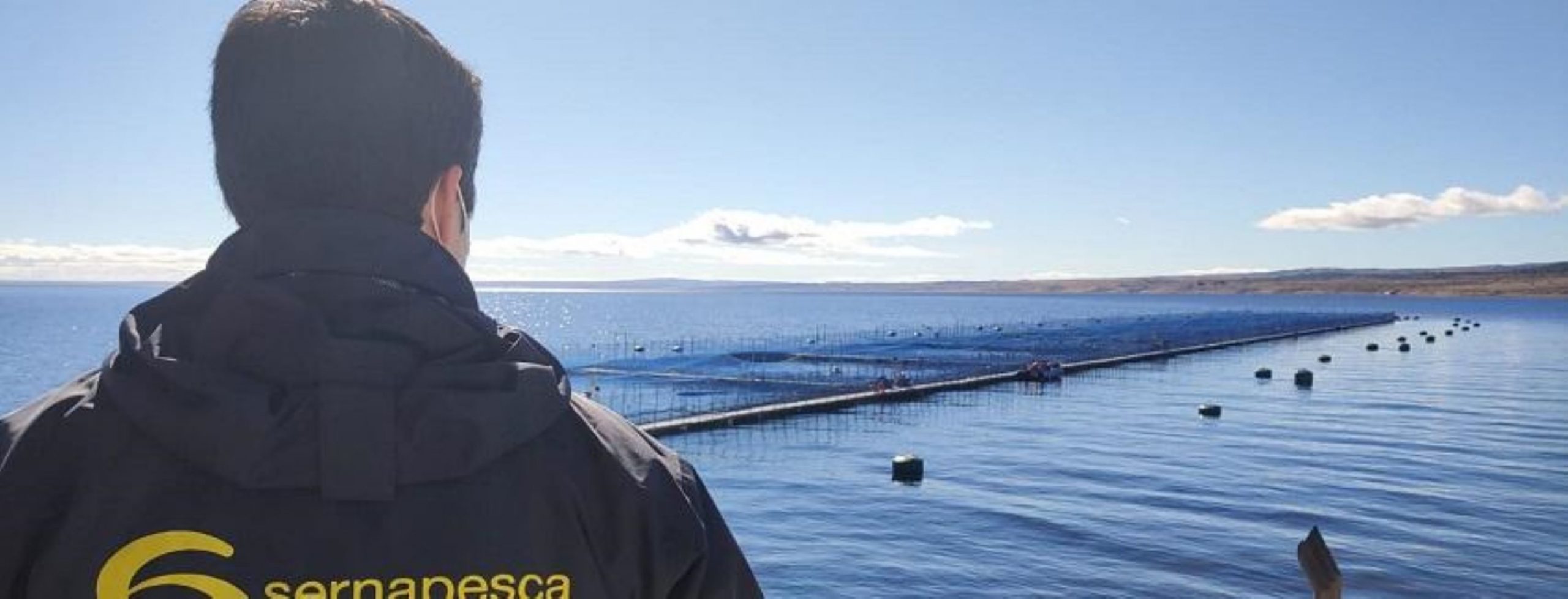 SERNAPESCA entrega información sobre denuncias por incumplimientos en acuicultura en Magallanes cursadas en el primer semestre de 2022