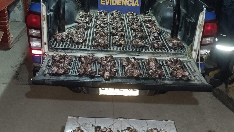 Sorprenden desembarque ilegal de recurso pesquero en veda