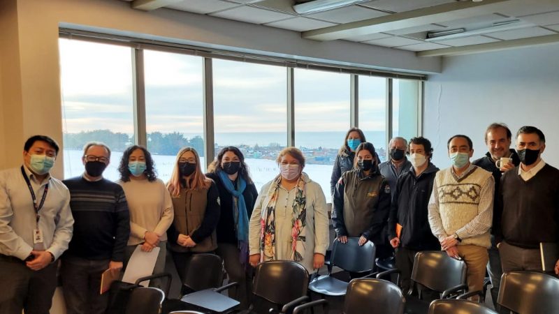 Equipos técnicos del Ministerio de Agricultura de Magallanes se capacitaron con la Seremi de Energía sobre hidrógeno verde