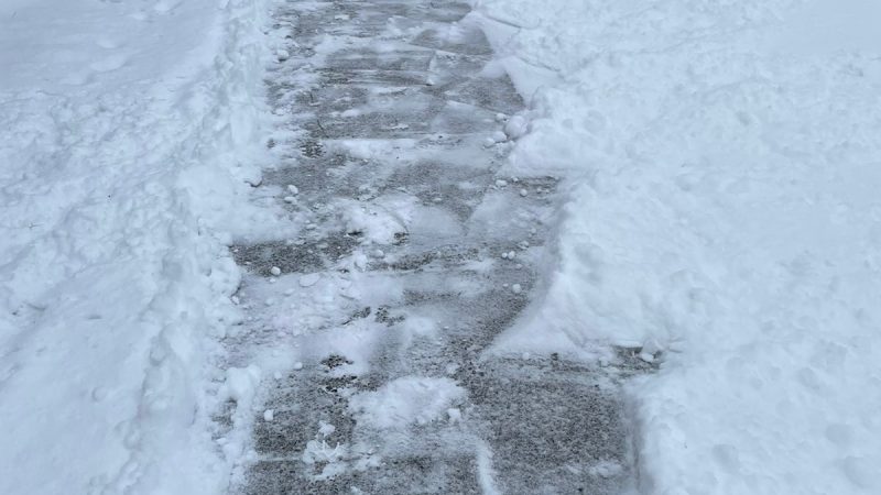 ONEMI recomienda limpieza de veredas ante fuerte caída de nieve en la región