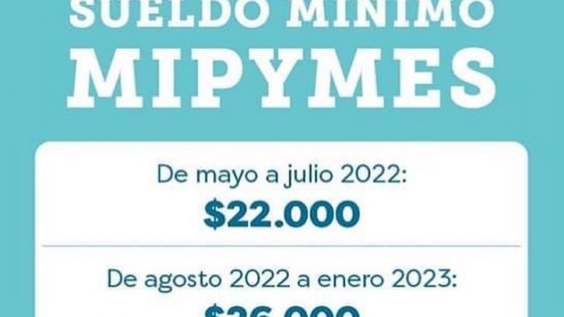 Subsidio en apoyo a las micro, pequeñas y medianas empresas para el incremento del ingreso mínimo