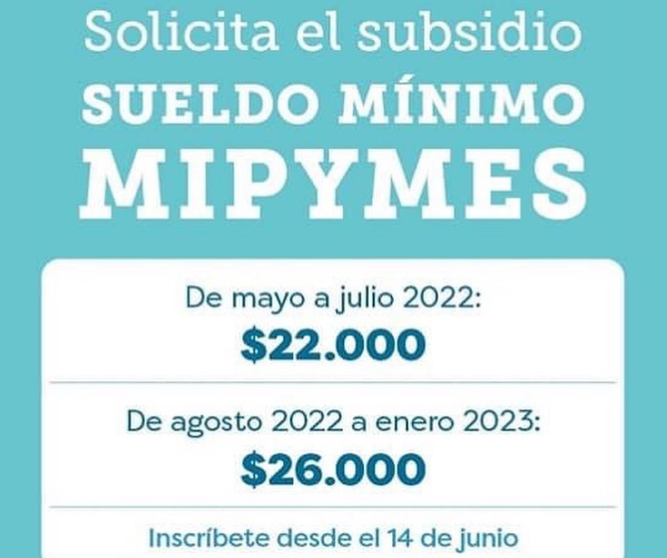 Subsidio en apoyo a las micro, pequeñas y medianas empresas para el incremento del ingreso mínimo