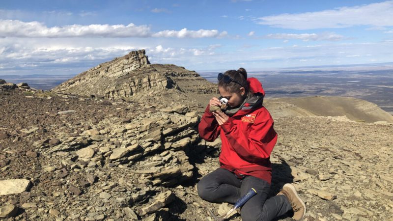 Científica del INACH investiga en Ultima Esperanza incendios ocurridos hace 145 millones de años