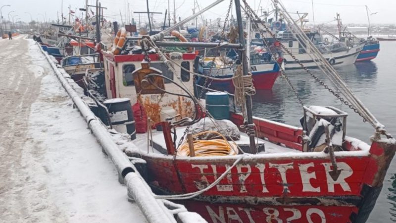 SERNAPESCA sorprende desembarque ilegal de mariscos  en veda en terminal pesquero de Puerto Natales