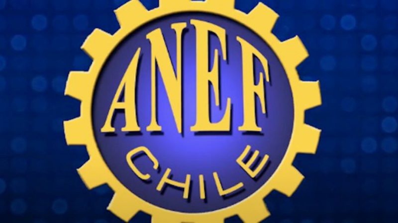 Anef y Anfumen presentan en Contraloría denuncia por posibles maltratos y violencia laboral en seremi de Energía de Magallanes