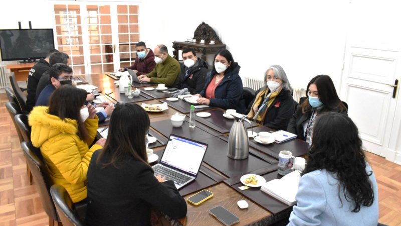Delegada se reúne con organismos competentes para analizar temas de seguridad en eventos masivos.