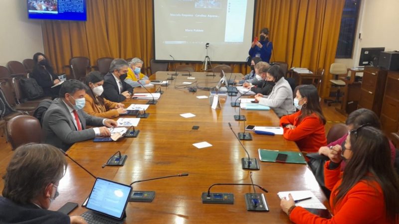 Comisión de Desarrollo Social de la Cámara de Diputados analizó posibles efectos de la reforma tributaria