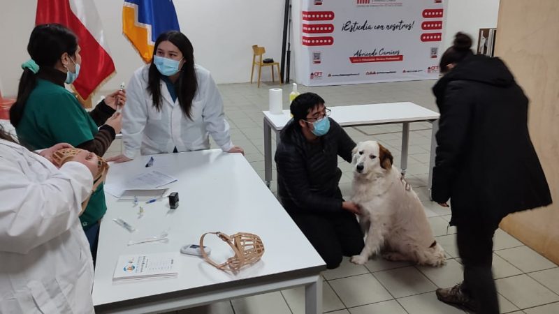 Operativo canino se desarrolló en Porvenir