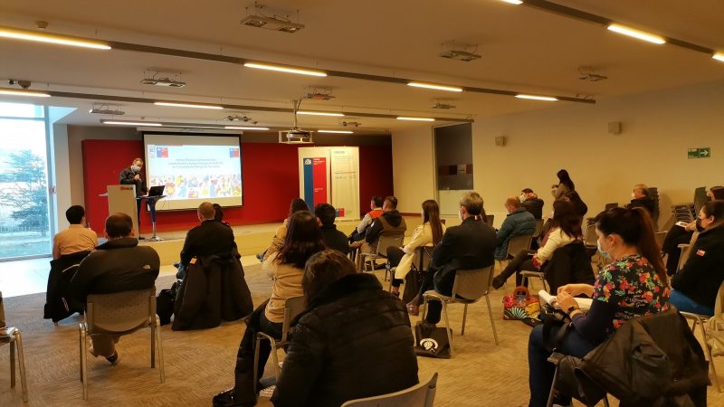 Se reunió en Punta Arenas Mesa intersectorial en Salud Mental y Apoyo Psicosocial (SMAPS) en Emergencias y Desastres 