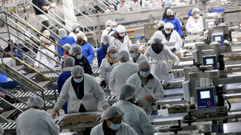 Tasa de ocupación en Magallanes alcanza el 62,3% | En el trimestre móvil marzo-mayo 2022 se registra una tasa de desocupación de 4,3%