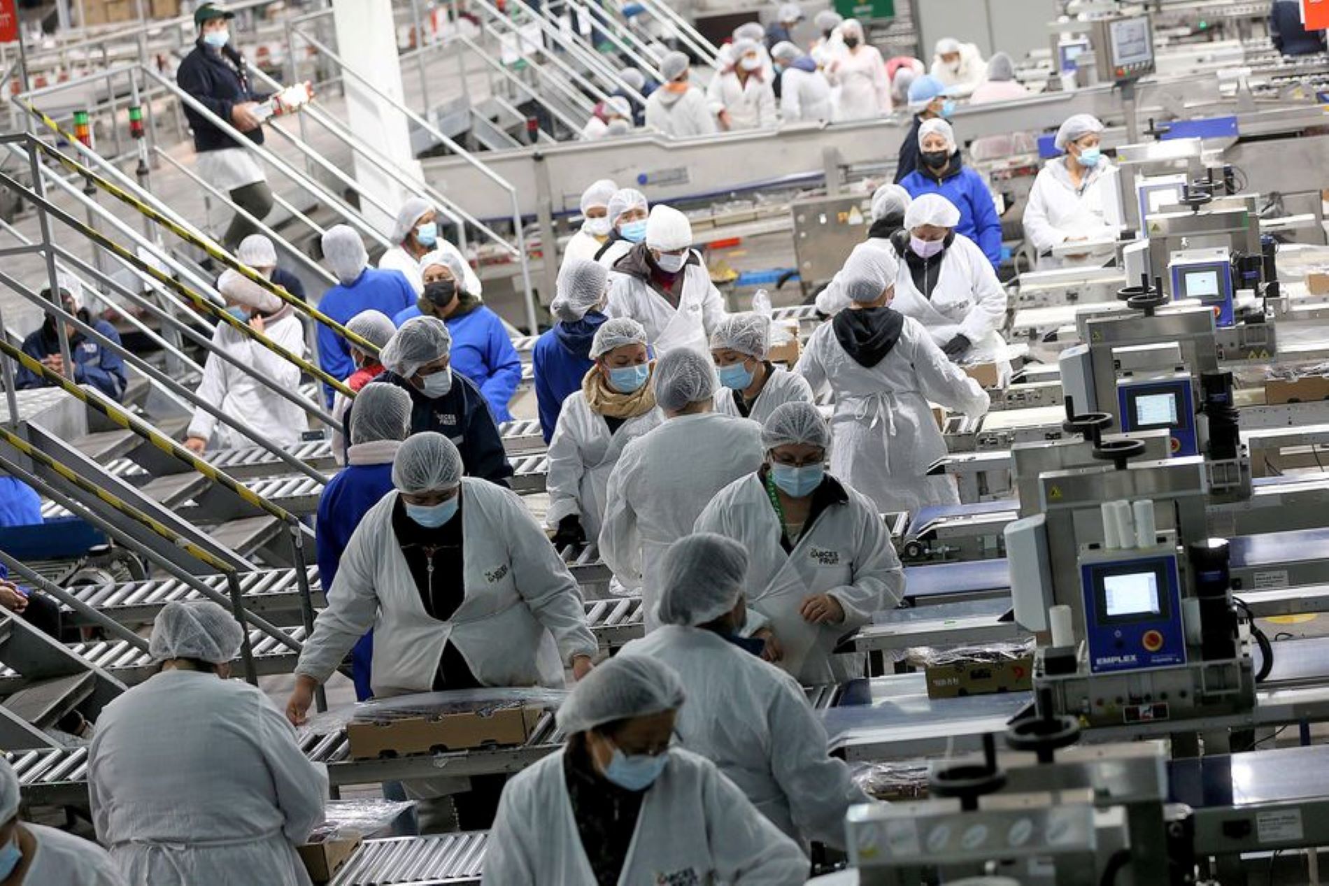 Tasa de ocupación en Magallanes alcanza el 62,3% | En el trimestre móvil marzo-mayo 2022 se registra una tasa de desocupación de 4,3%
