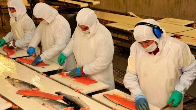En un 22% se incrementó el comercio exterior de Chile durante el presente año | Salmones, litio y  cerezas entre los productos más exportados