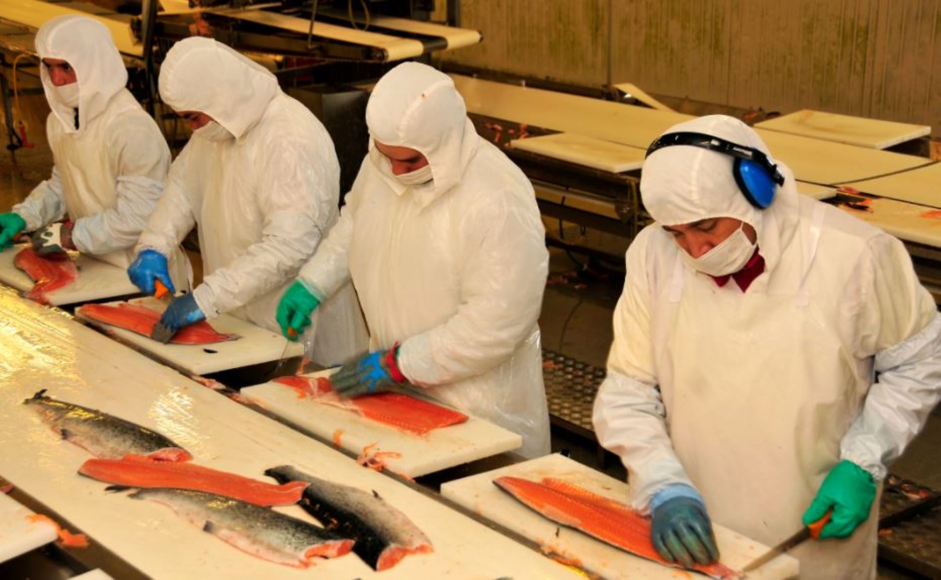 En un 22% se incrementó el comercio exterior de Chile durante el presente año | Salmones, litio y cerezas entre los productos más exportados