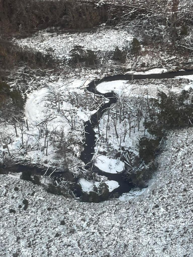 Invasión del castor en Tierra del Fuego: Subsecretario del MMA sobrevuela bosques subantárticos gravemente afectados