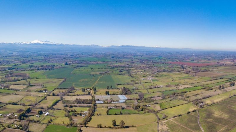 Ministerio de Agricultura establece regulaciones para parcelaciones rurales 
