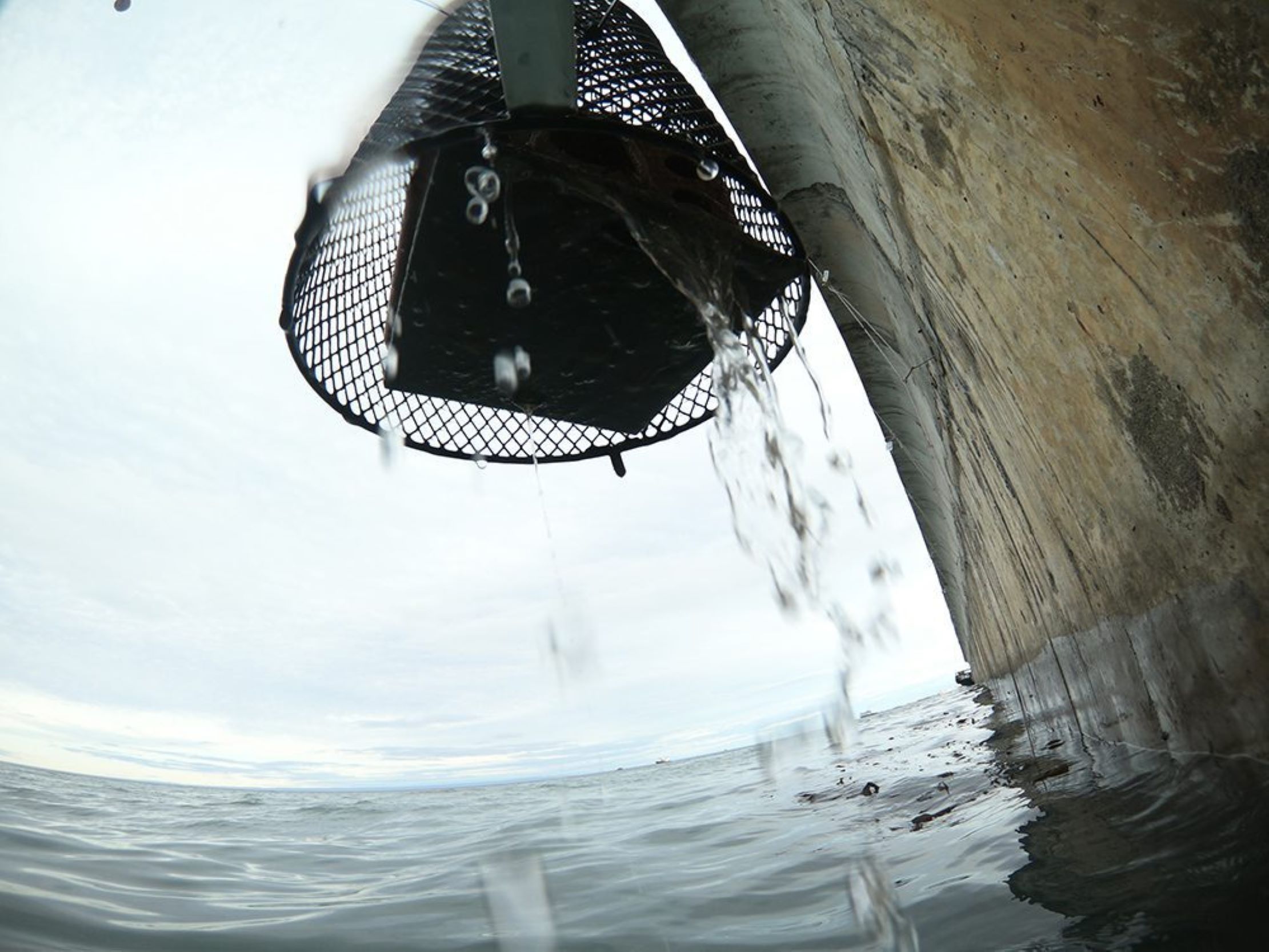 Trabajo de más de 60 investigadores internacionales dio cuenta de diferencias entre zonas tropicales y climas fríos, que podrían disminuir debido al alza de calor en los océanos