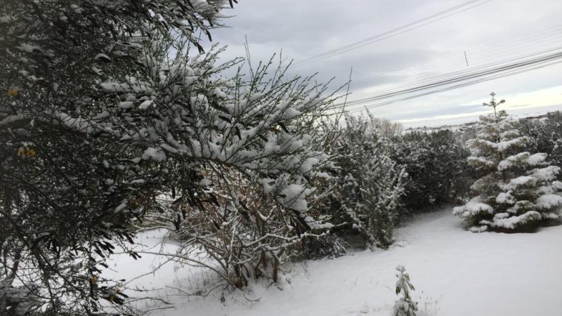 Chubascos de nieve y aguanieve se pronostican este domingo 17 de julio en Magallanes