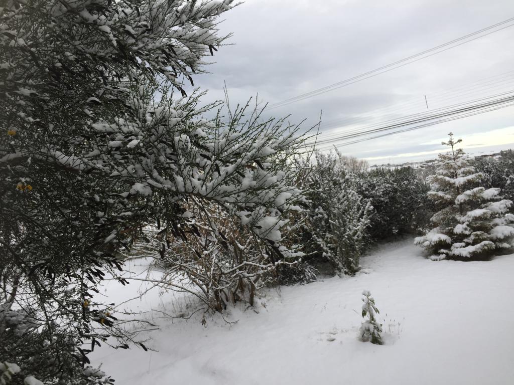 Chubascos de nieve y aguanieve se pronostican este domingo 17 de julio en Magallanes