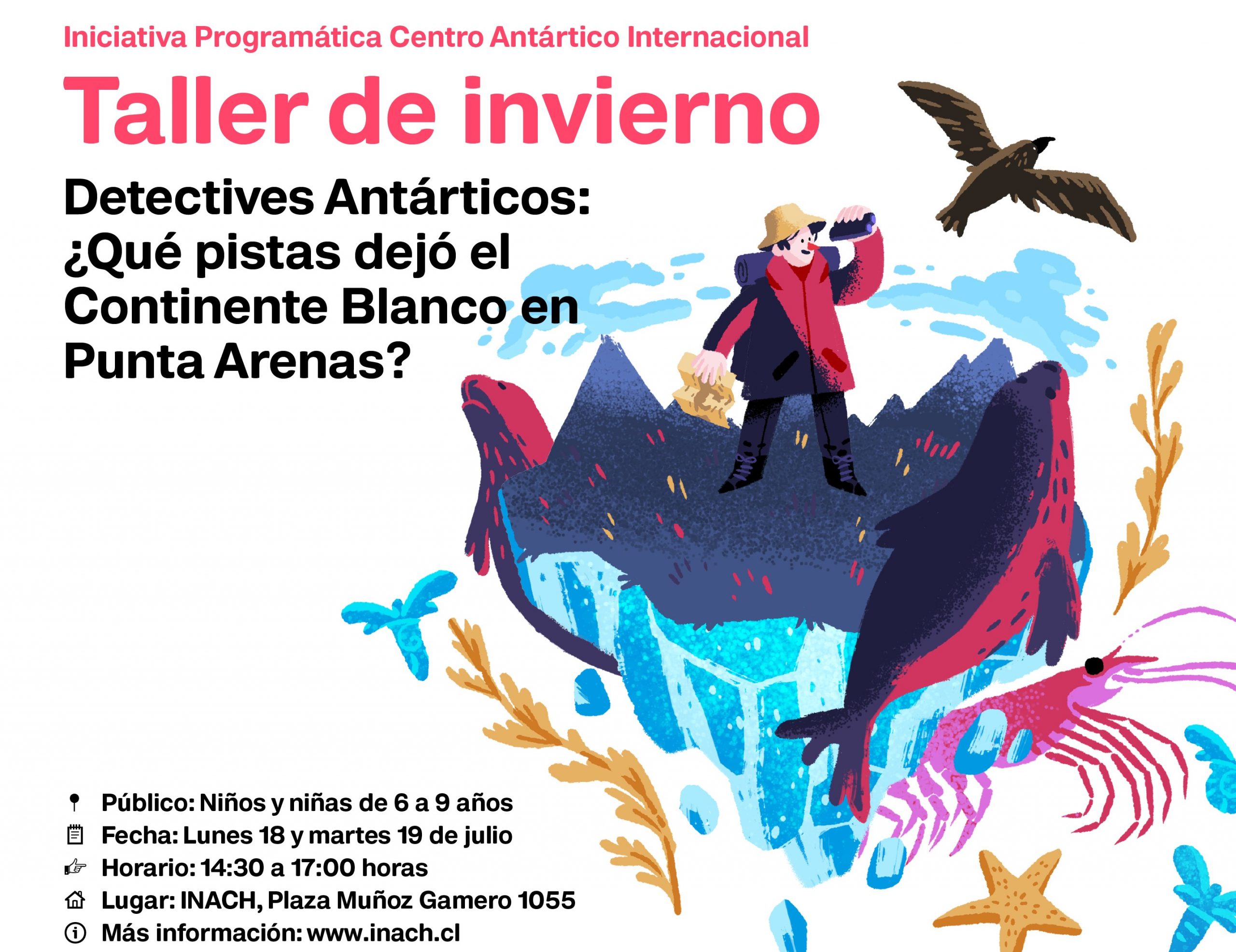 Niñas y niños de 6 a 9 años podrán convertirse en “detectives antárticos” y buscar “pistas” del Continente Blanco en Punta Arenas