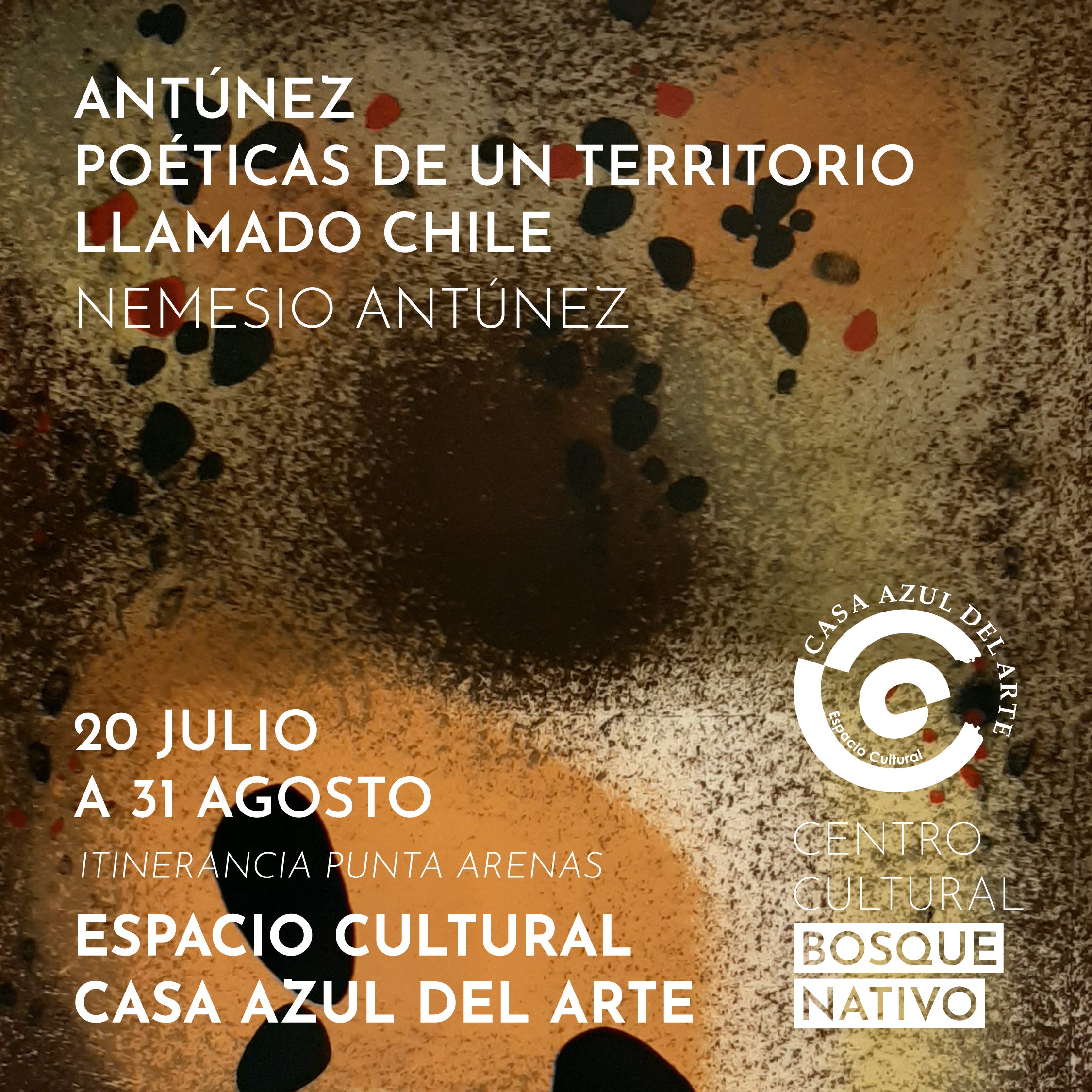 Grabados de Nemesio Antúnez llegan a Casa Azul del Arte de Punta Arenas