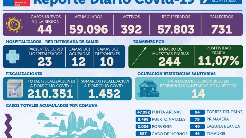 44 nuevos casos de covid19 en Magallanes | Lunes 8 de agosto
