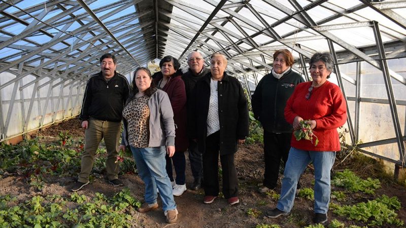 Agricultores asociados en Magallanes promueven el uso de plantas medicinales