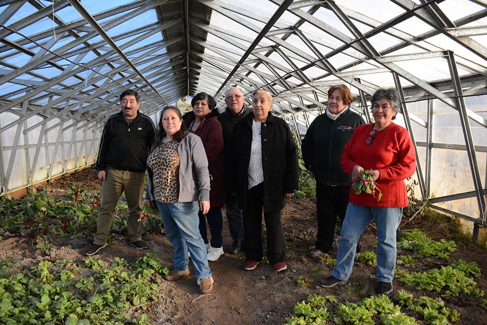 Agricultores asociados en Magallanes promueven el uso de plantas medicinales