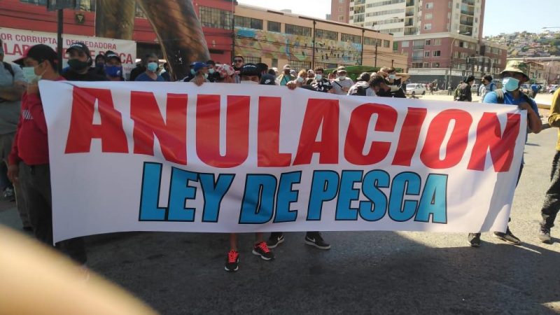 Pescadores Artesanales optimistas por inminente anulación la Ley de Pesca