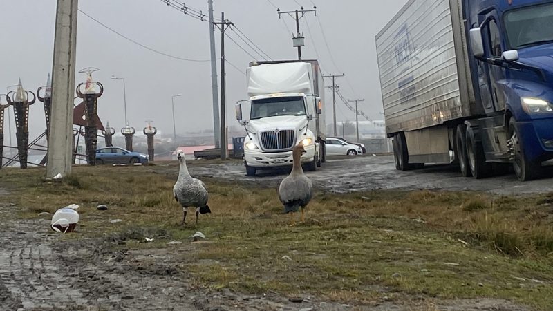 Estacionamiento irregular en sector de Tres Puentes podría afectar el ecosistema del Humedal