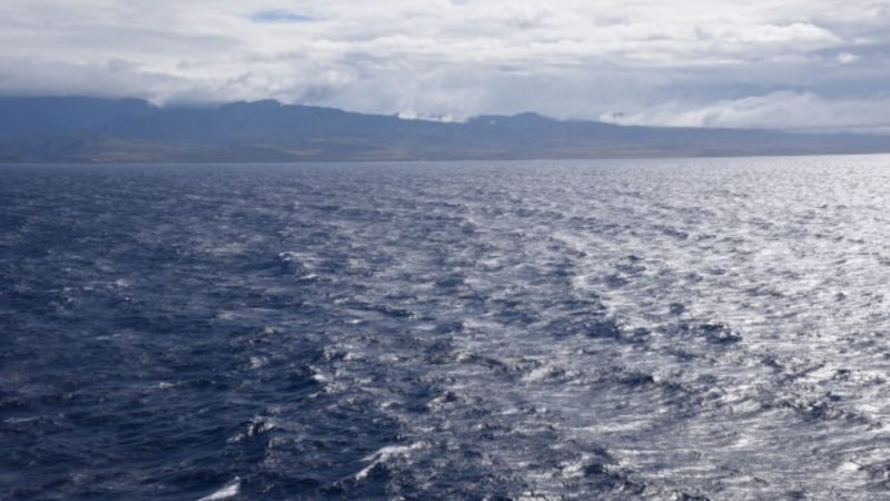 Consulta ciudadana revela la percepción de chilenas y chilenos sobre la salud del océano