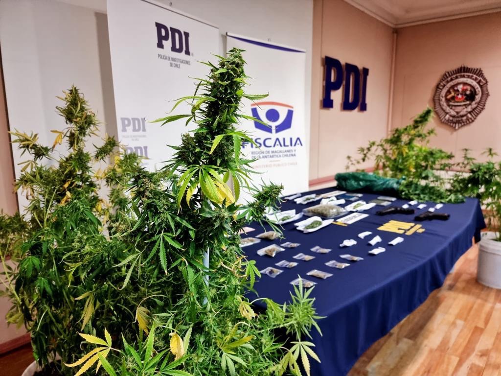 PDI Punta Arenas realiza operativo antinarcóticos e incauta más de 6 millones y medio de pesos en Cannabis Sativa