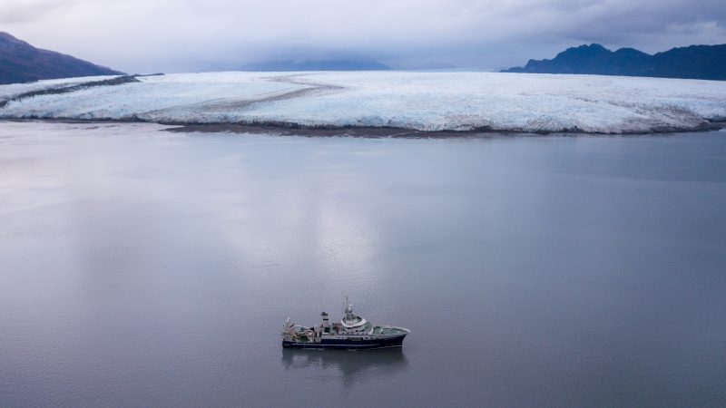 Científicos descubren nueva toxina en los mares de la Patagonia