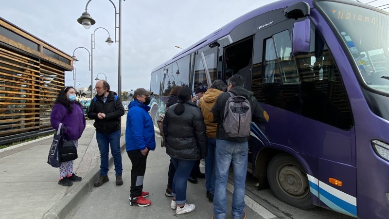 Positivo balance de funcionamiento del transporte público en Magallanes | Durante este plebiscito se cumplió 100% de horarios y frecuencias