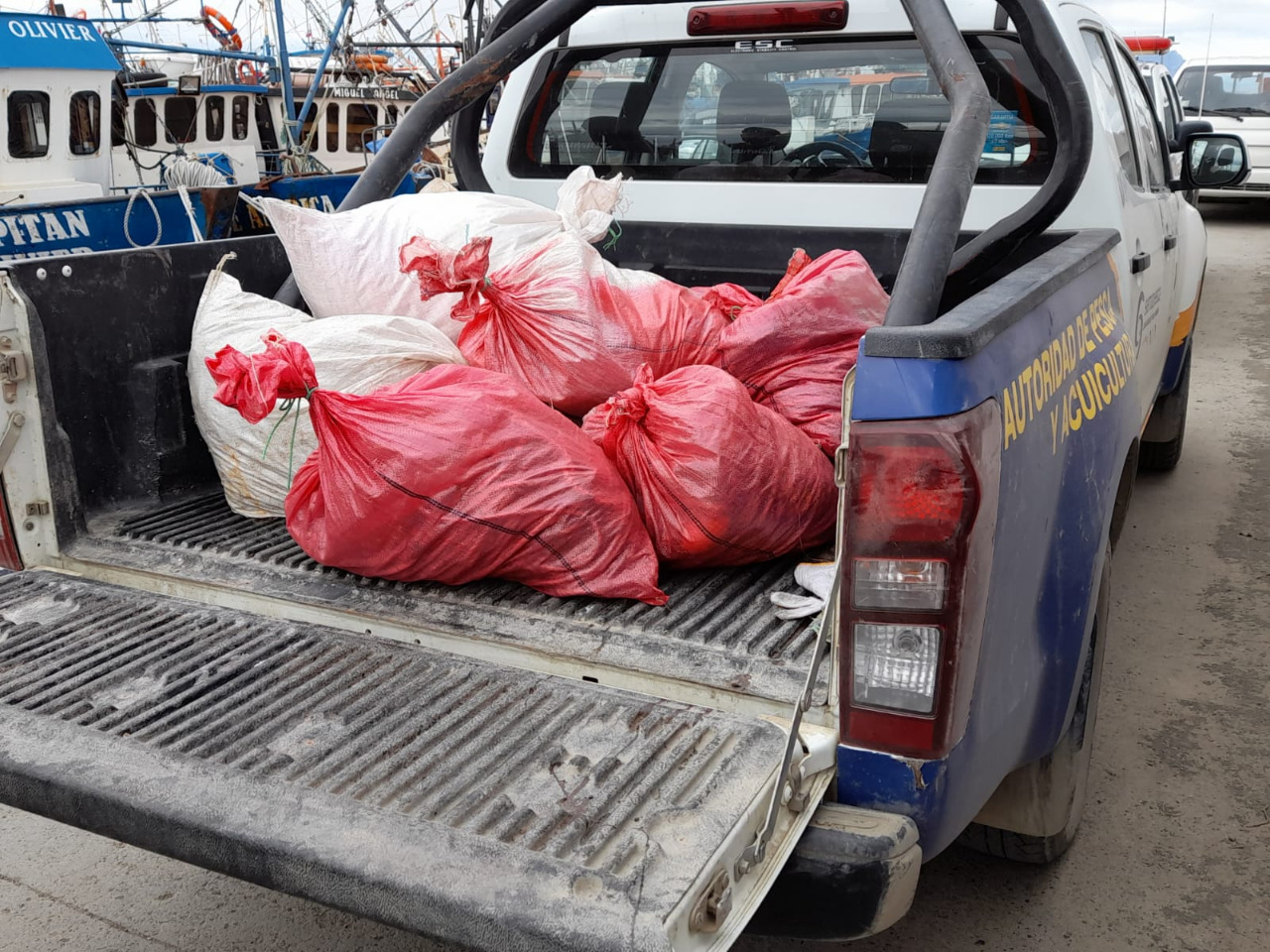 Sernapesca intensifica fiscalizaciones en torno a pesquería de centolla en Magallanes