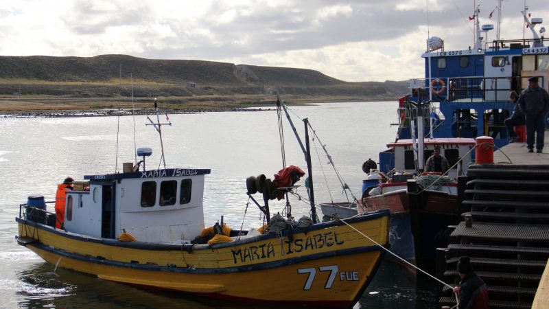 Pescadores artesanales de Magallanes: «queremos que las actividades económicas en nuestro borde costero sean sustentables»