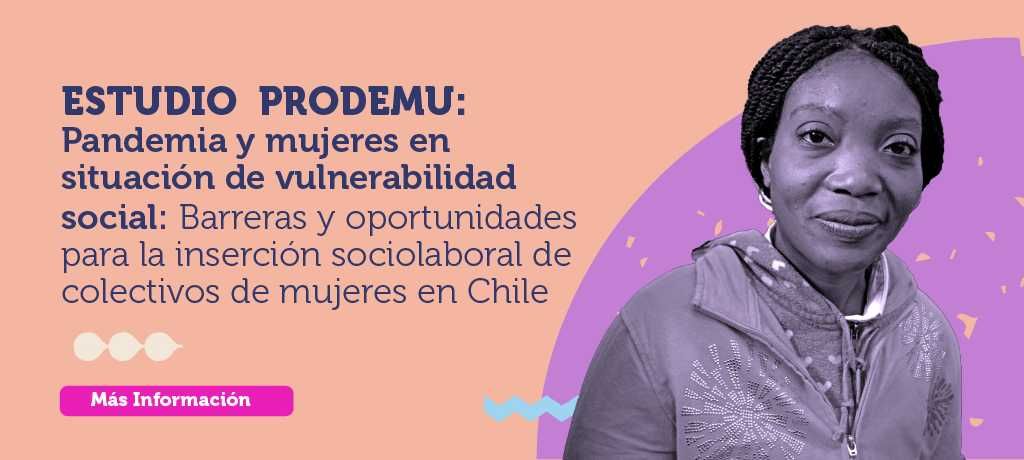Fundación PRODEMU realiza Encuesta Nacional para mujeres de pueblos originarios, migrantes y de las disidencias sexuales