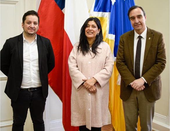 Maria Luz Gajardo asumió como directora regional de Serviu Magallanes