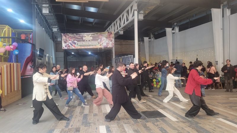 Actividad masiva del Festival de las Ciencias se realizó en Punta Arenas y Porvenir