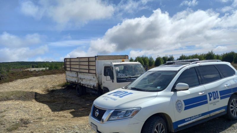 PDI Punta Arenas detiene a conductor de camión por maltrato animal