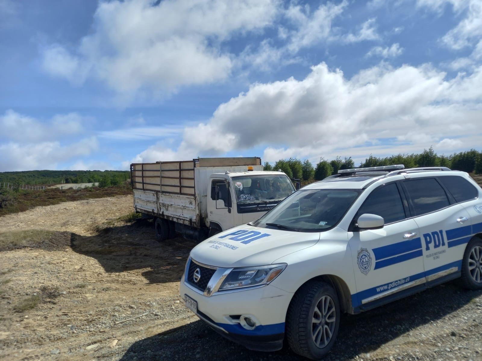 PDI Punta Arenas detiene a conductor de camión por maltrato animal